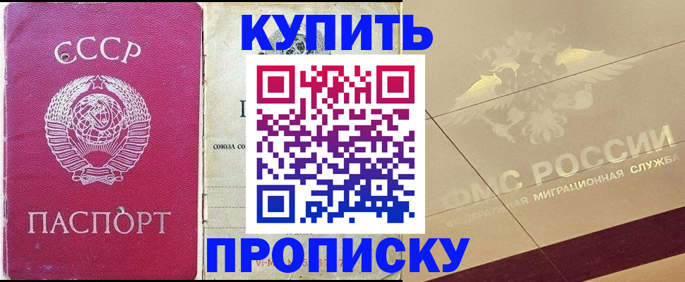 прописка для школы в Фрязино